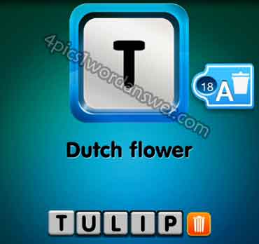one-clue-dutch-flower