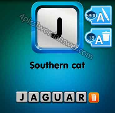 one-clue-southern-cat