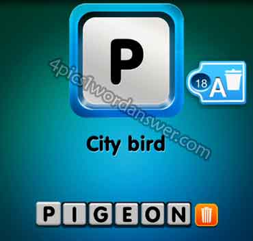 one-clue-city-bird