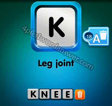one-clue-leg-joint