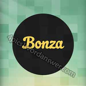 bonza-answers