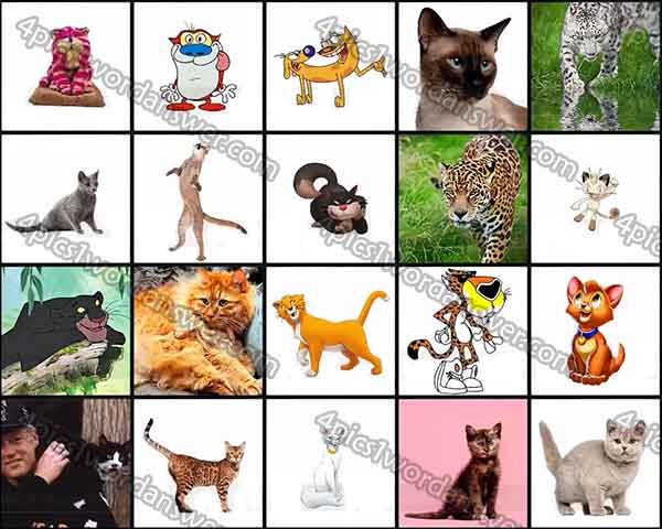 100-pics-cats-level-21-40-answers