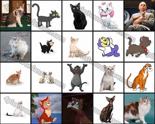 100-pics-cats-level-41-60-answers