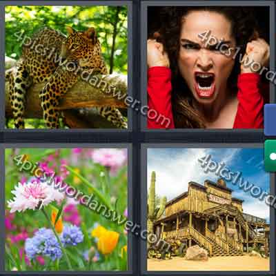 4-pics-1-word-daily-challenge-april-13-2015