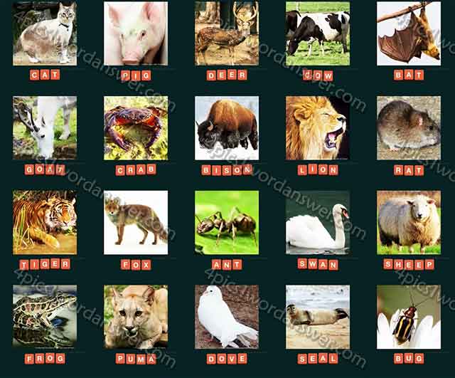 Guess Animal Answers Pics 1 Daily Puzzle Answers