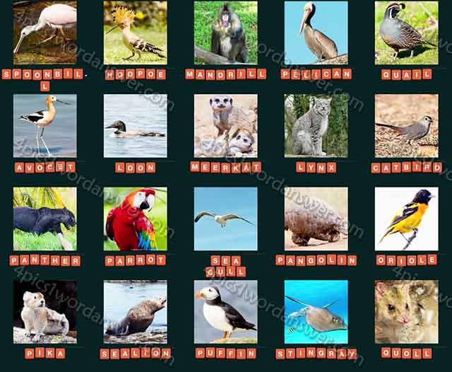 guess-animal-2015-level-141-160-answers
