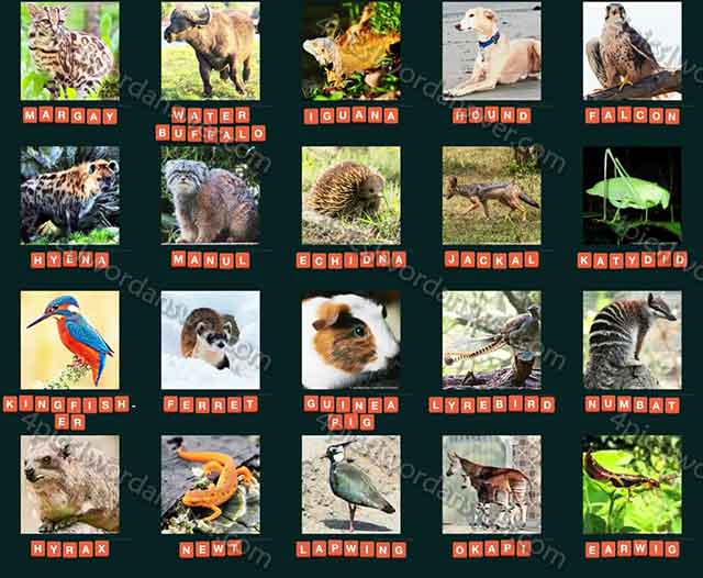 guess-animal-2015-level-181-200-answers