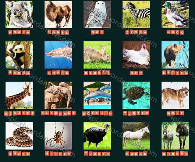 guess-animal-2015-level-21-40-answers