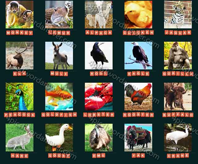 guess-animal-2015-level-41-60-answers