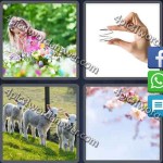 4-pics-1-word-daily-puzzle-mar-17-2016