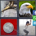 4-pics-1-word-daily-puzzle-july-4-2016