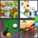 4-pics-1-word-daily-puzzle-december-18-2016