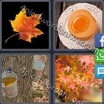 4-pics-1-word-daily-puzzle-february-1-2017