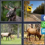 4-pics-1-word-daily-puzzle-february-4-2017