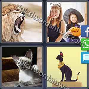 4-pics-1-word-daily-puzzle-january-1-2017