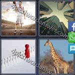 4-pics-1-word-daily-puzzle-february-20-2017