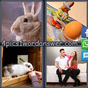 4-pics-1-word-daily-puzzle-march-11-2018
