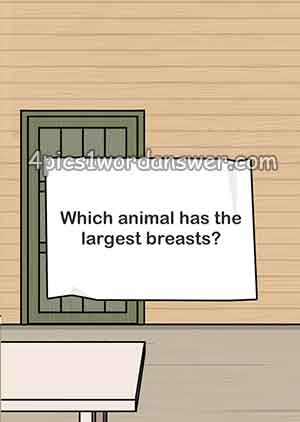 which-animal-has-the-largest-breasts