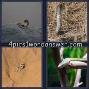 4 pics 1 word daily challenge june 25