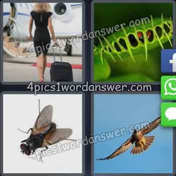 4 pics 1 word daily challenge may 11 2016