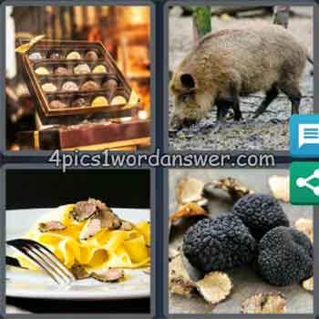 4-pics-1-word-daily-puzzle-january-28-2020