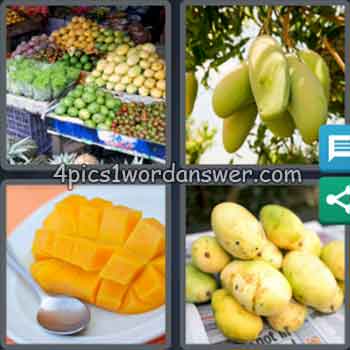 4-pics-1-word-daily-puzzle-february-21-2020