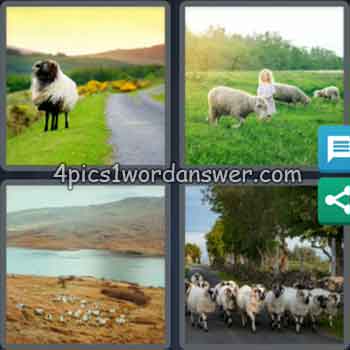 4-pics-1-word-daily-puzzle-march-23-2020