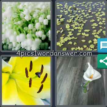 4-pics-1-word-daily-puzzle-june-12-2020