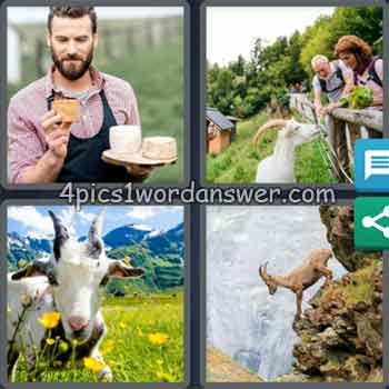 4-pics-1-word-daily-puzzle-june-17-2020