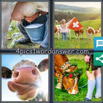 4-pics-1-word-daily-puzzle-june-6-2020