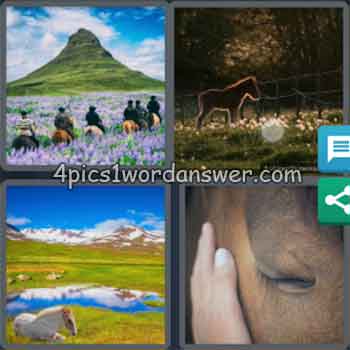 4-pics-1-word-daily-puzzle-august-1-2020