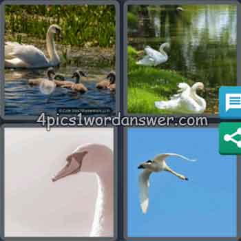 4-pics-1-word-daily-puzzle-july-14-2020