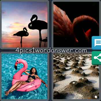 4-pics-1-word-daily-puzzle-september-3-2020