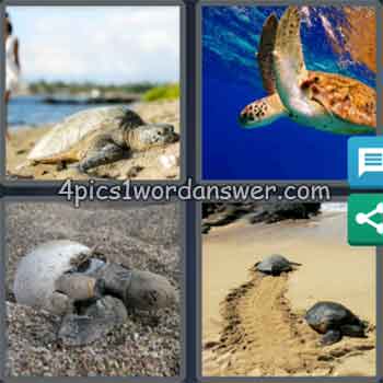 4-pics-1-word-daily-puzzle-september-5-2020