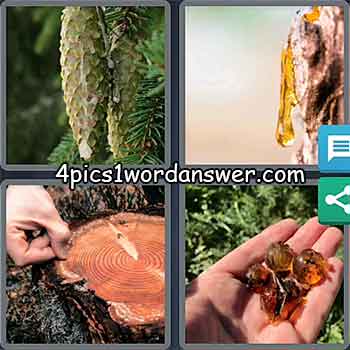 4-pics-1-word-daily-puzzle-march-19-2021