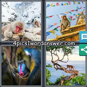 4-pics-1-word-daily-puzzle-march-23-2021