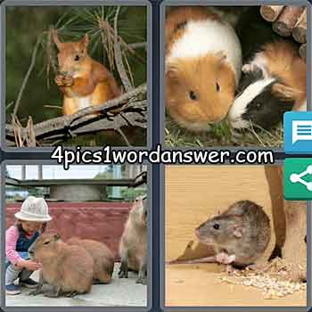 4-pics-1-word-daily-puzzle-march-26-2021