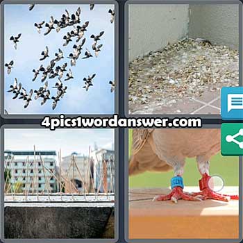 4-pics-1-word-daily-puzzle-august-27-2021