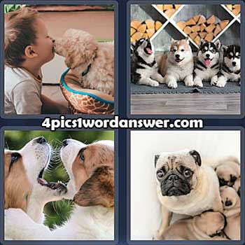 4-pics-1-word-daily-puzzle-february-2-2022