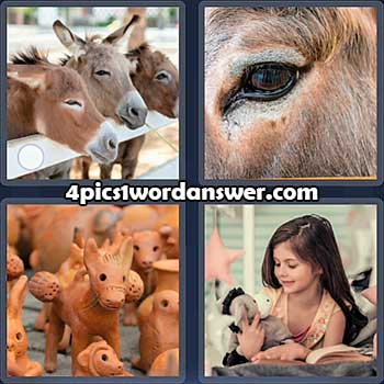 4-pics-1-word-daily-puzzle-february-5-2022