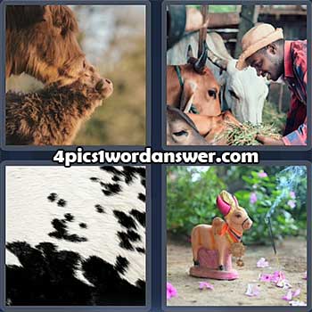 4-pics-1-word-daily-puzzle-february-11-2022