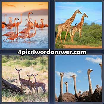4-pics-1-word-daily-puzzle-february-12-2022