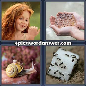4-pics-1-word-daily-puzzle-february-19-2022