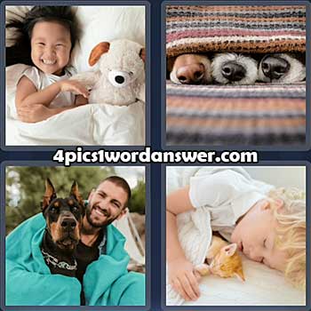 4-pics-1-word-daily-puzzle-february-25-2022