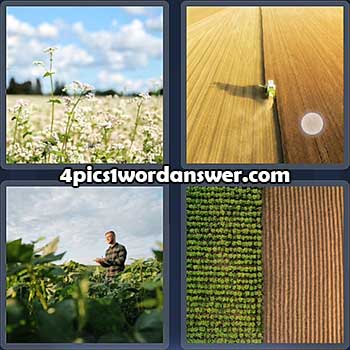 4-pics-1-word-daily-puzzle-april-10-2022