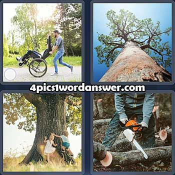 4-pics-1-word-daily-puzzle-april-12-2022