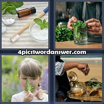 4-pics-1-word-daily-puzzle-april-14-2022