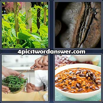 4-pics-1-word-daily-puzzle-april-16-2022