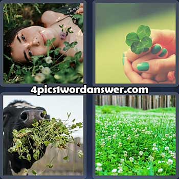 4-pics-1-word-daily-puzzle-april-18-2022