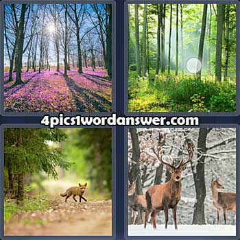4-pics-1-word-daily-puzzle-april-22-2022